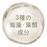 3種の海藻・藻類成分