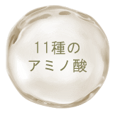11種のアミノ酸