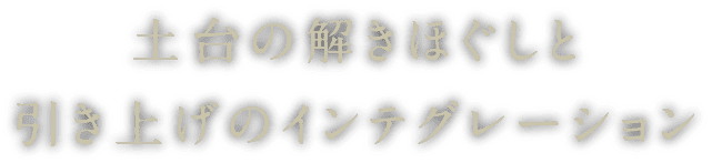 土台の解きほぐしと引き上げのインテグレーション