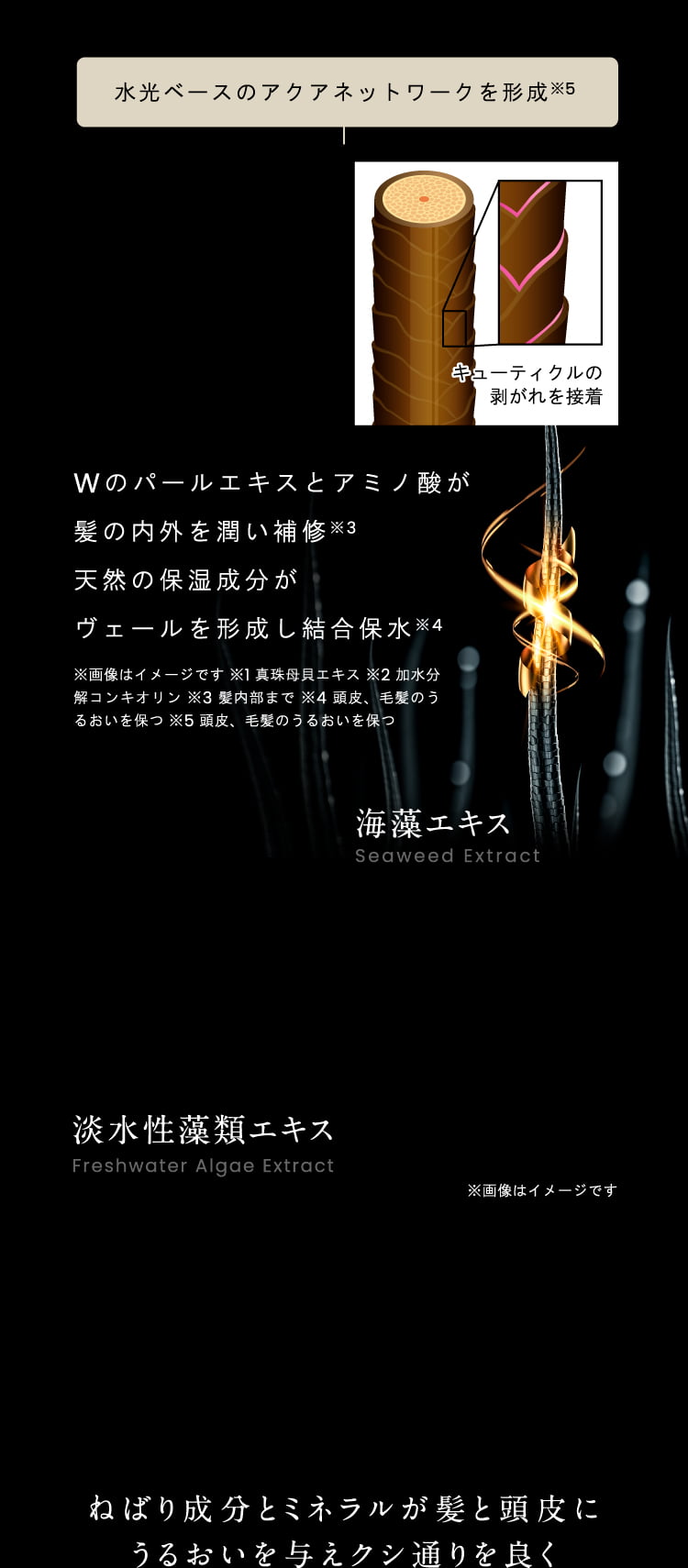 Wのパールエキスとアミノ酸が髪の内外を潤い補修 天然の保湿成分がヴェールを形成し結合保水