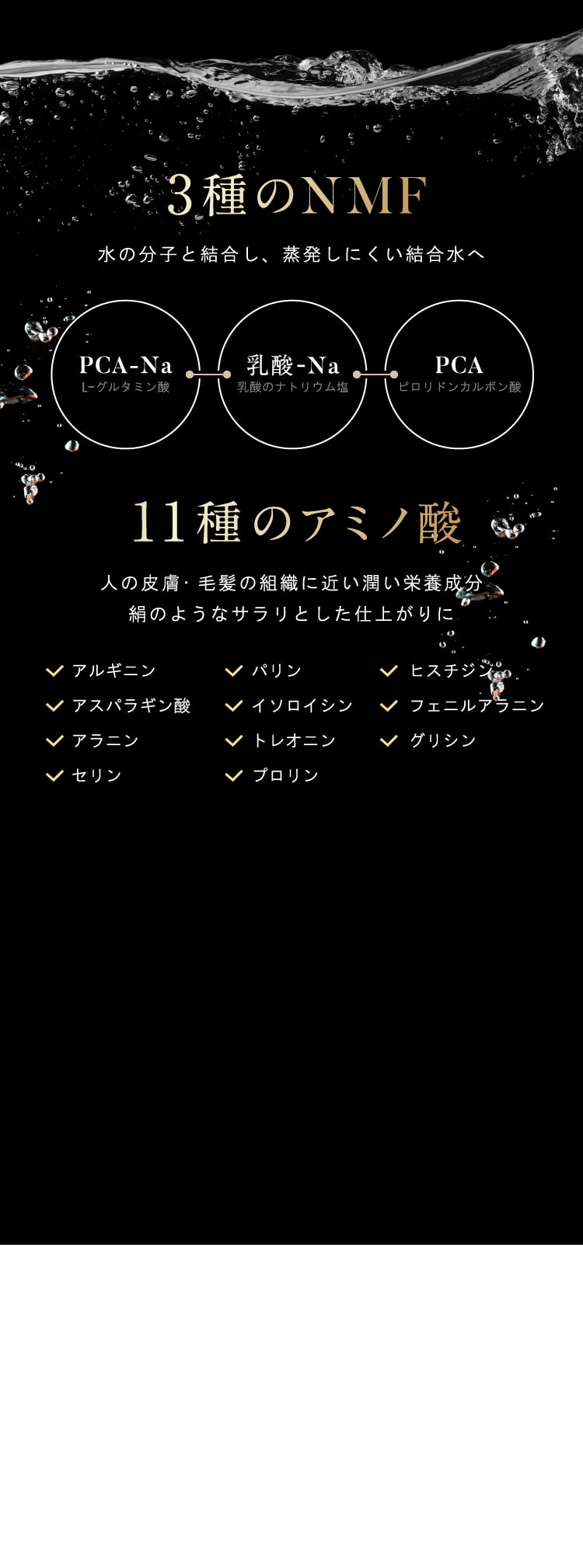 3種のNMF 11種のアミノ酸