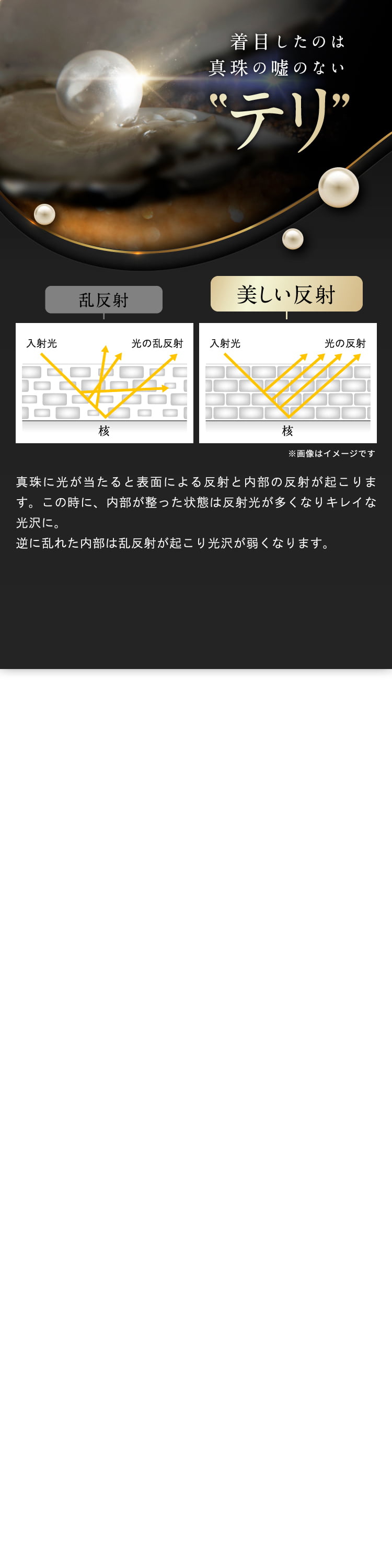 着目したのは真珠の嘘のないテリ