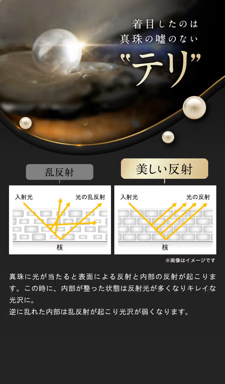 着目したのは真珠の嘘のないテリ