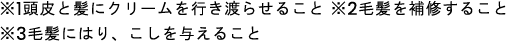 ※1頭皮と髪にクリームを行き渡らせること ※2毛髪を補修すること ※3毛髪にはり、こしを与えること