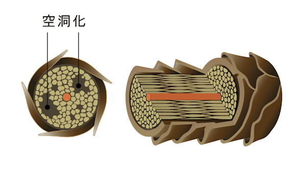 タンパク質が失われる動画