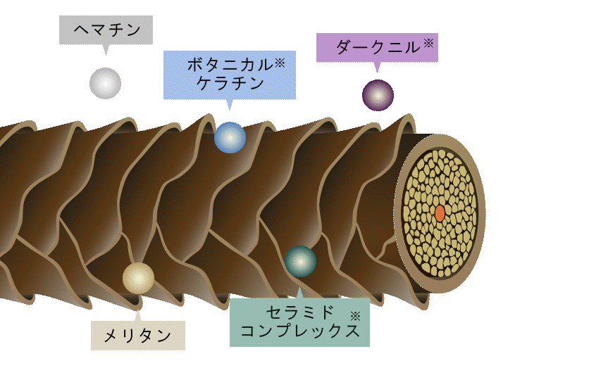 成分を取り込む動画