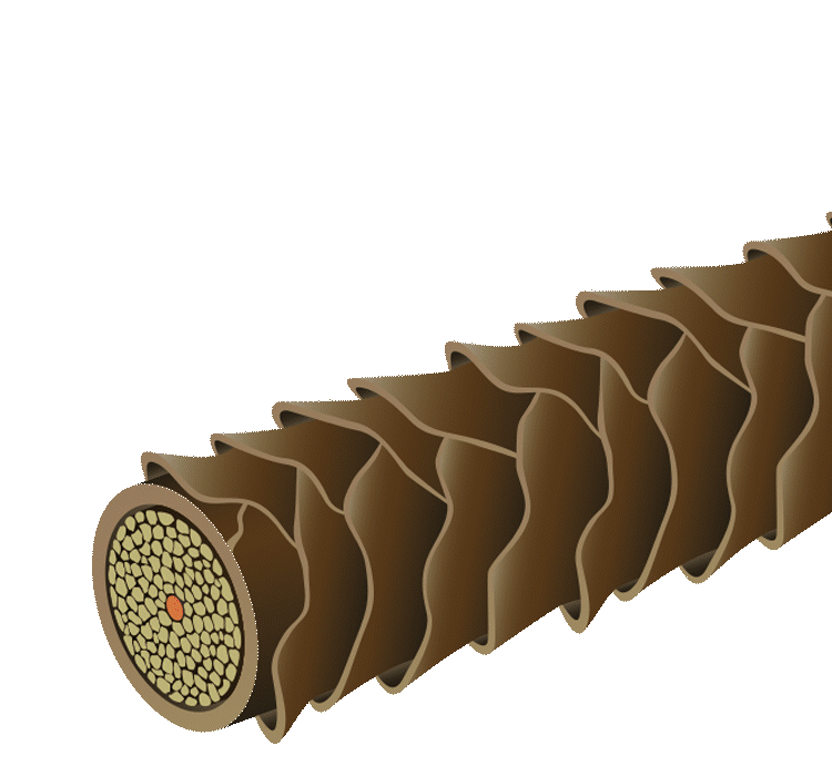 ドライヤーをあてる動画